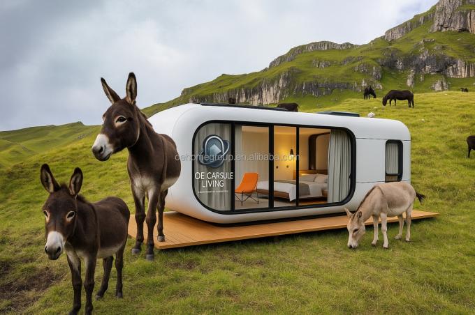 Lüks 20ft Modern Nakliye Konteyner Evi Küçük Konut Oteller için Prefab çelik yapısı Vilalar Daire alanı 5
